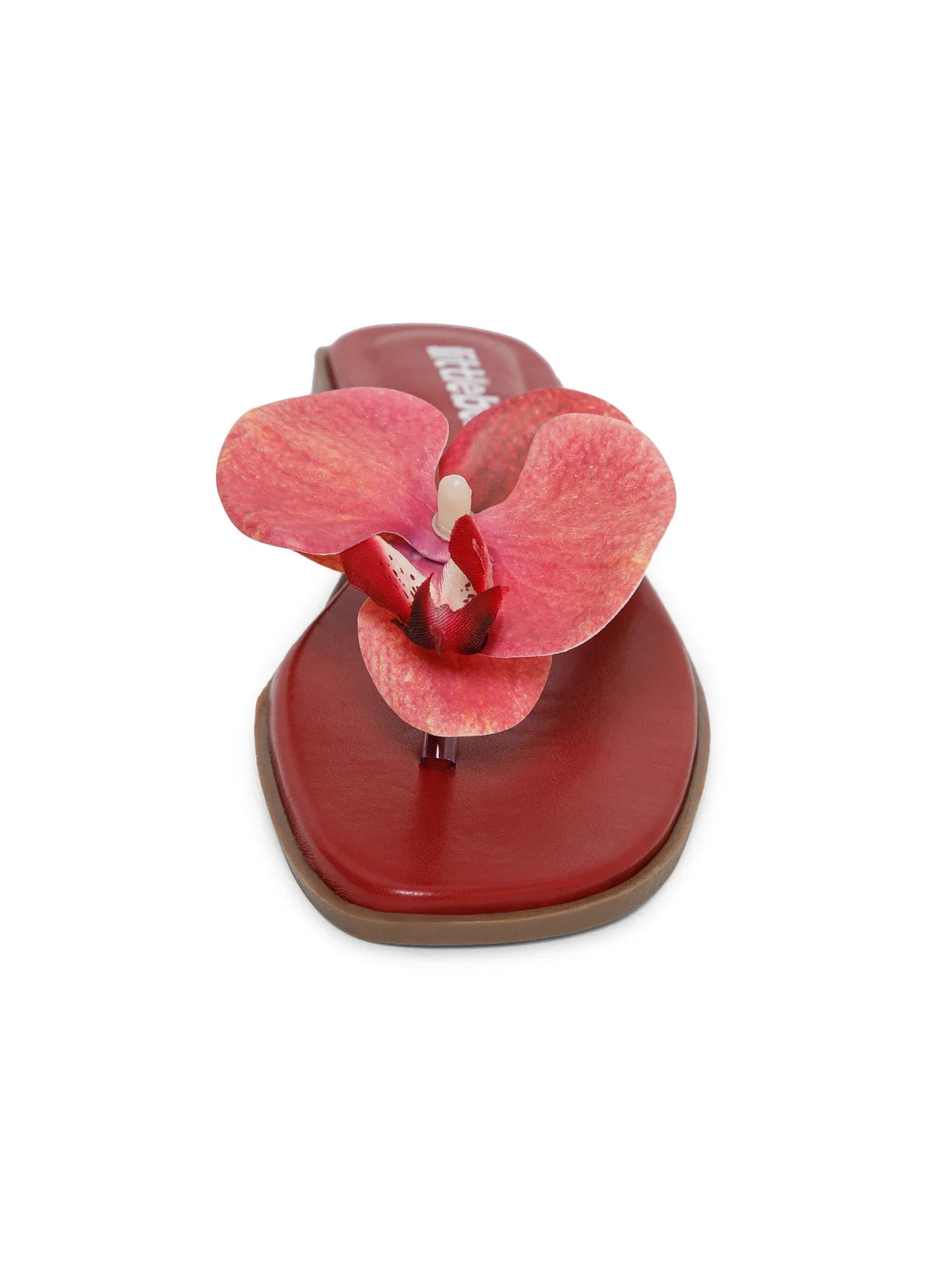 Cherry Butterfly Orchid Decor Beach Flat