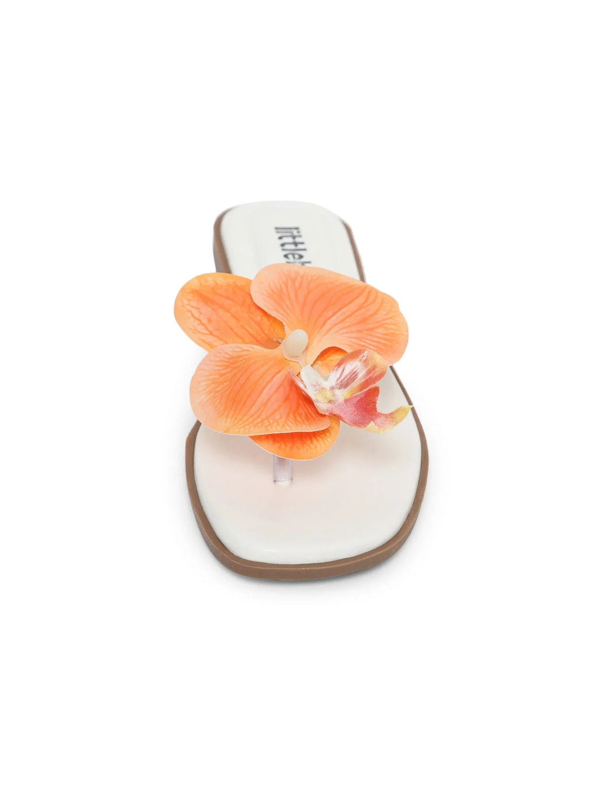Orange Butterfly Orchid Decor Beach Flat