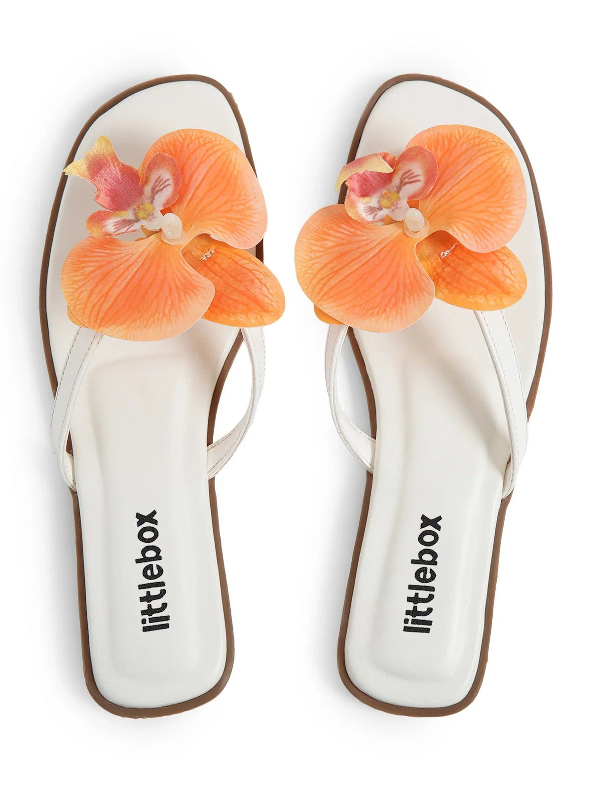 Orange Butterfly Orchid Decor Beach Flat