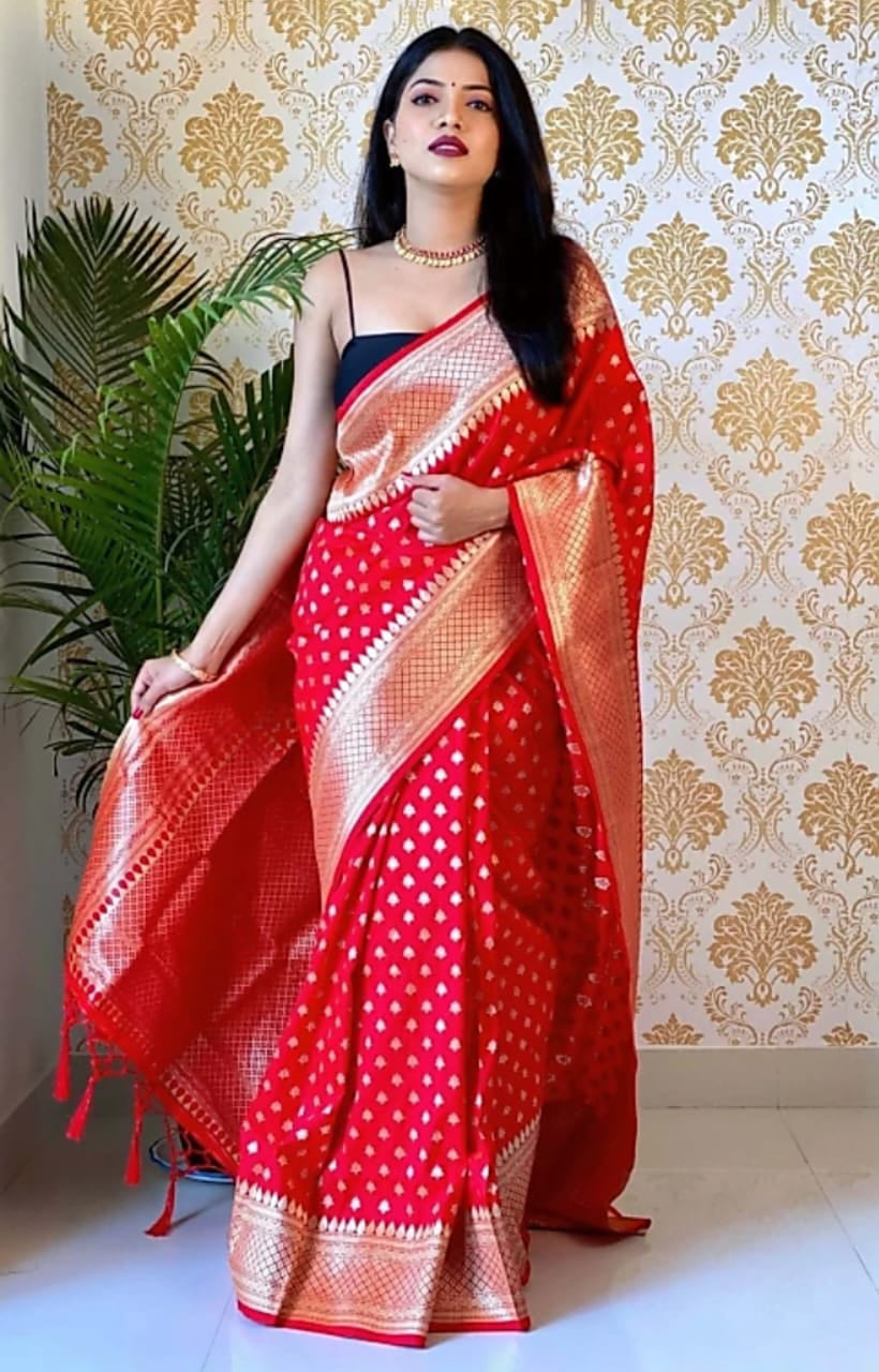 Ailurophile Red Soft Silk Saree With Palimpsest Blouse Piece