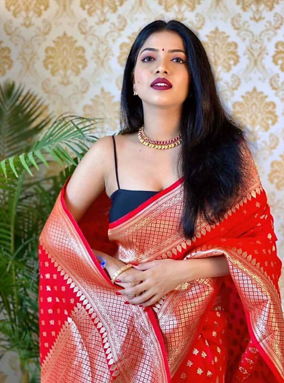 Ailurophile Red Soft Silk Saree With Palimpsest Blouse Piece