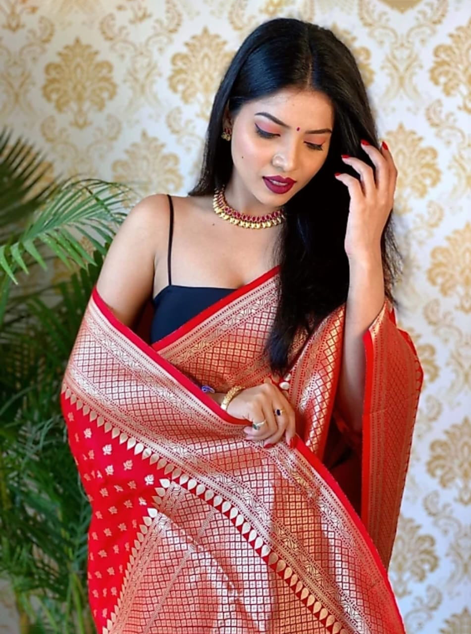 Ailurophile Red Soft Silk Saree With Palimpsest Blouse Piece