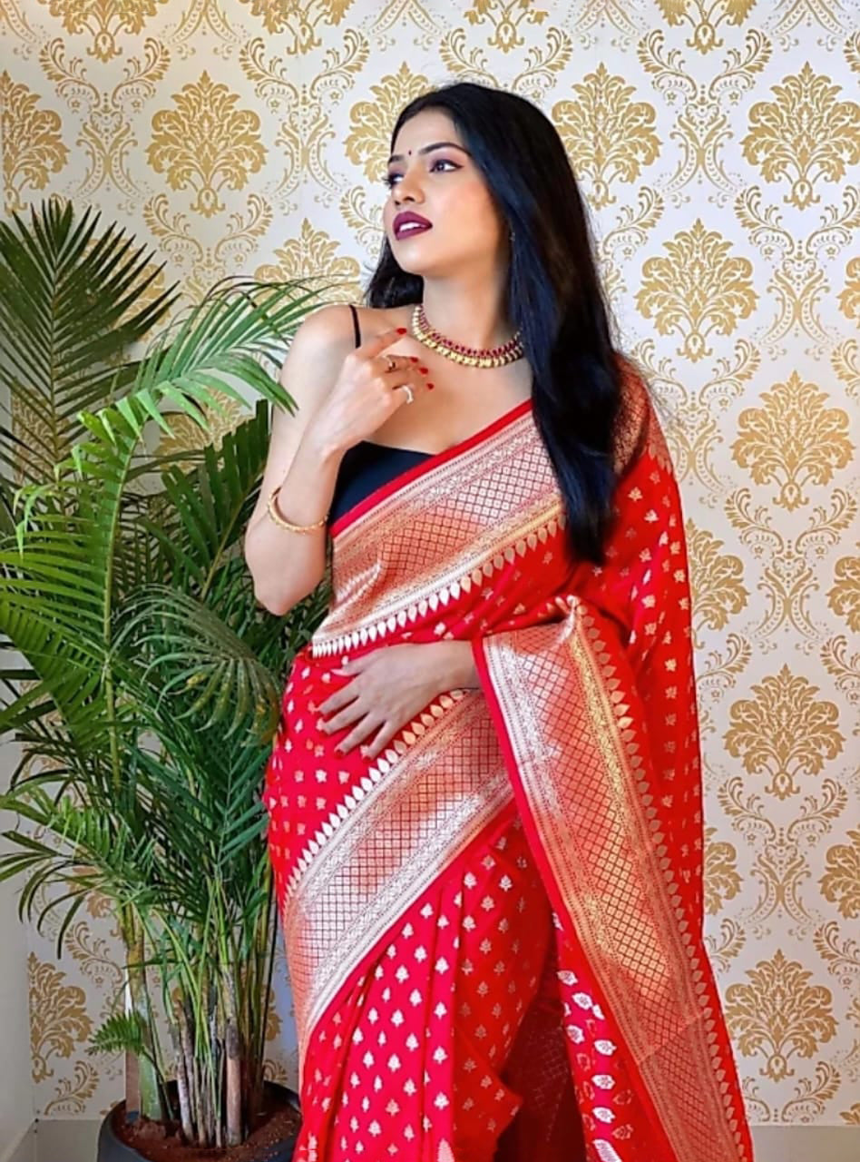 Ailurophile Red Soft Silk Saree With Palimpsest Blouse Piece