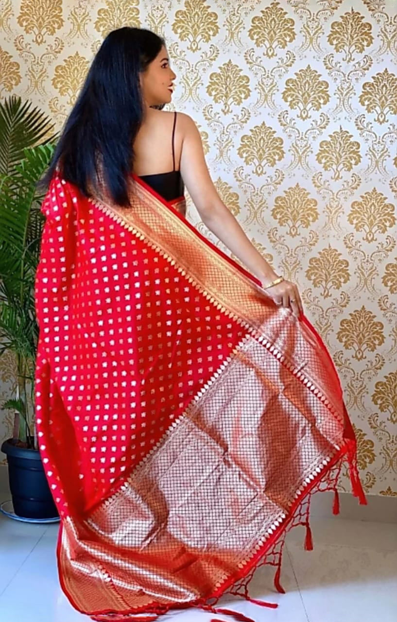 Ailurophile Red Soft Silk Saree With Palimpsest Blouse Piece