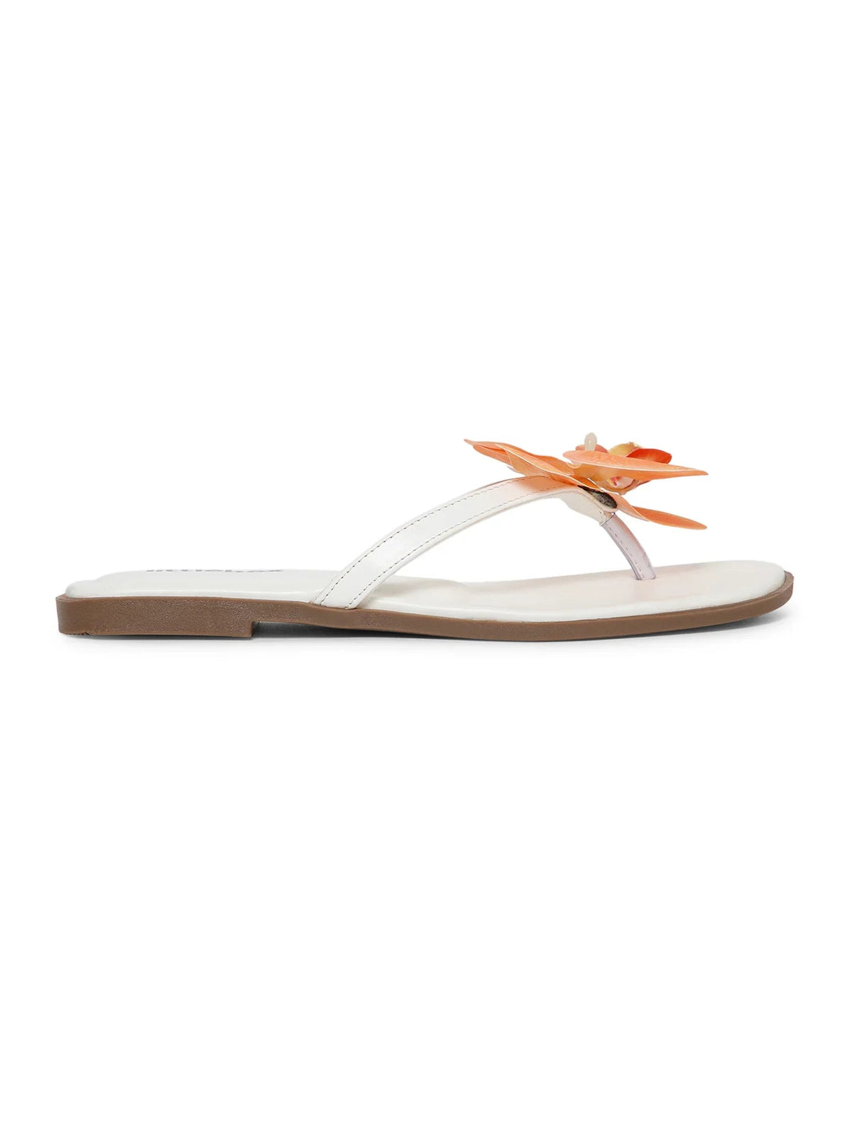 Orange Butterfly Orchid Decor Beach Flat