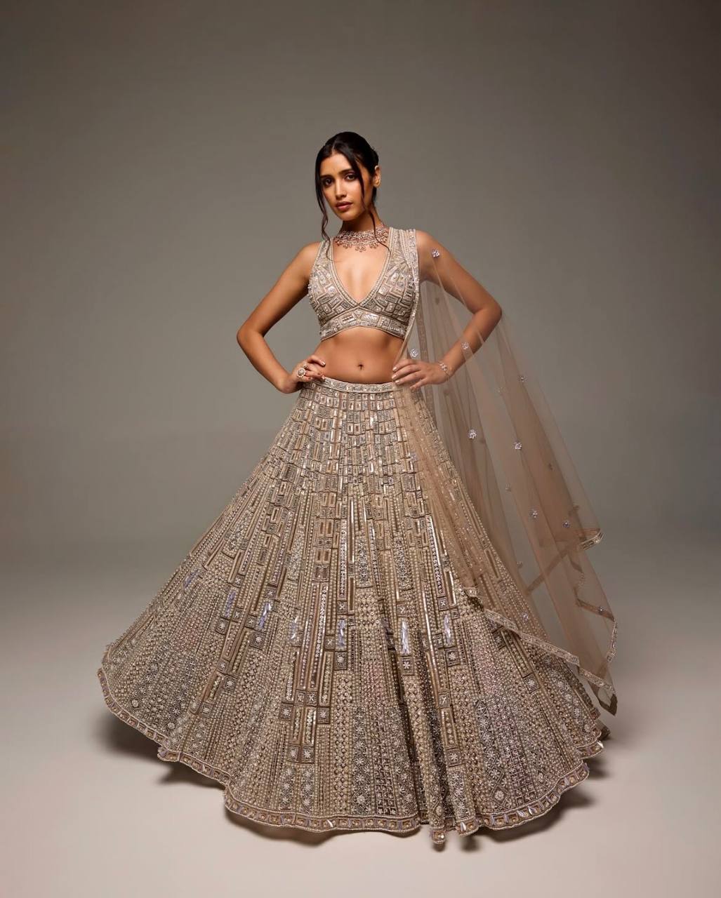 Beige Special Moments Net Lehenga Set with Sequins, Dori & Thread Work