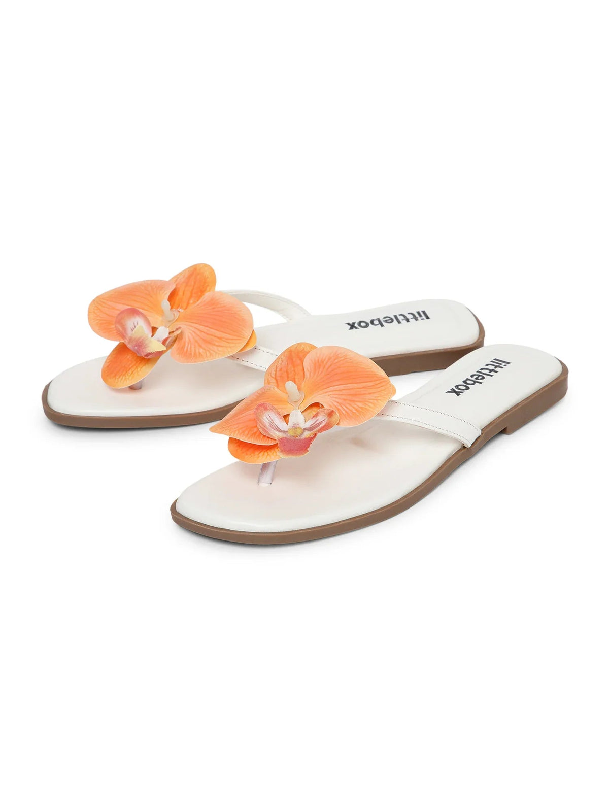Orange Butterfly Orchid Decor Beach Flat