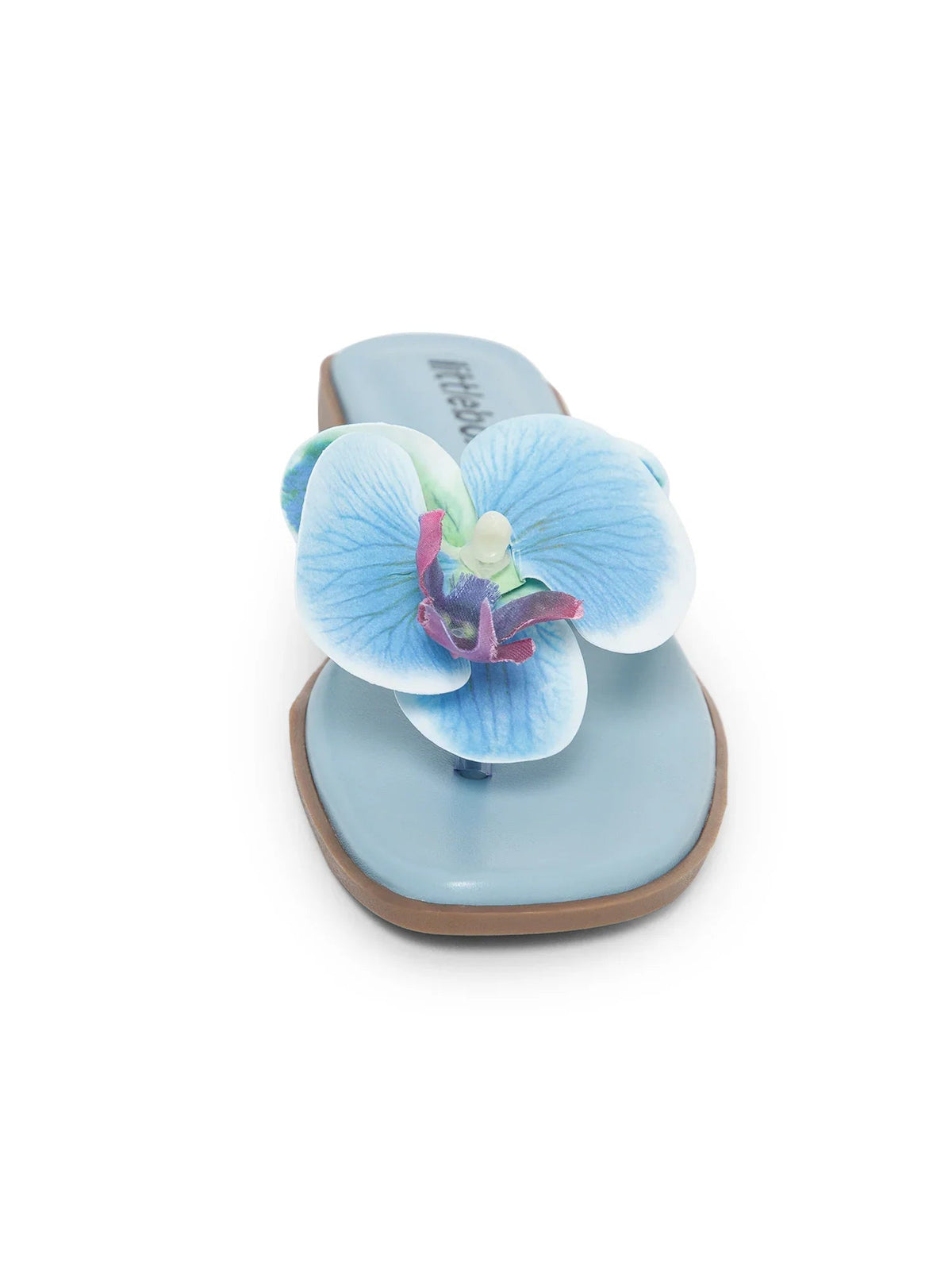 Blue Butterfly Orchid Decor Beach Flat