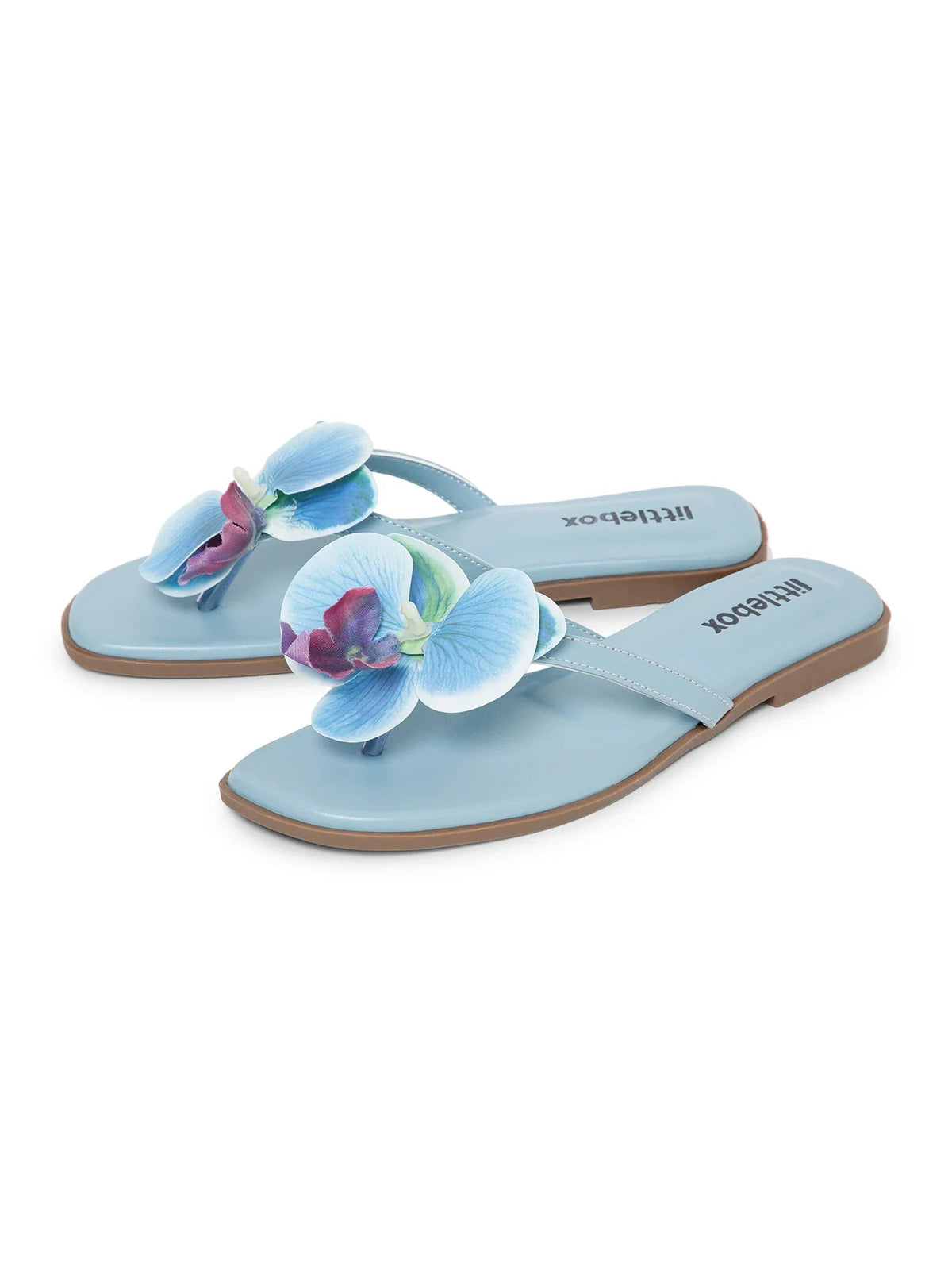 Blue Butterfly Orchid Decor Beach Flat