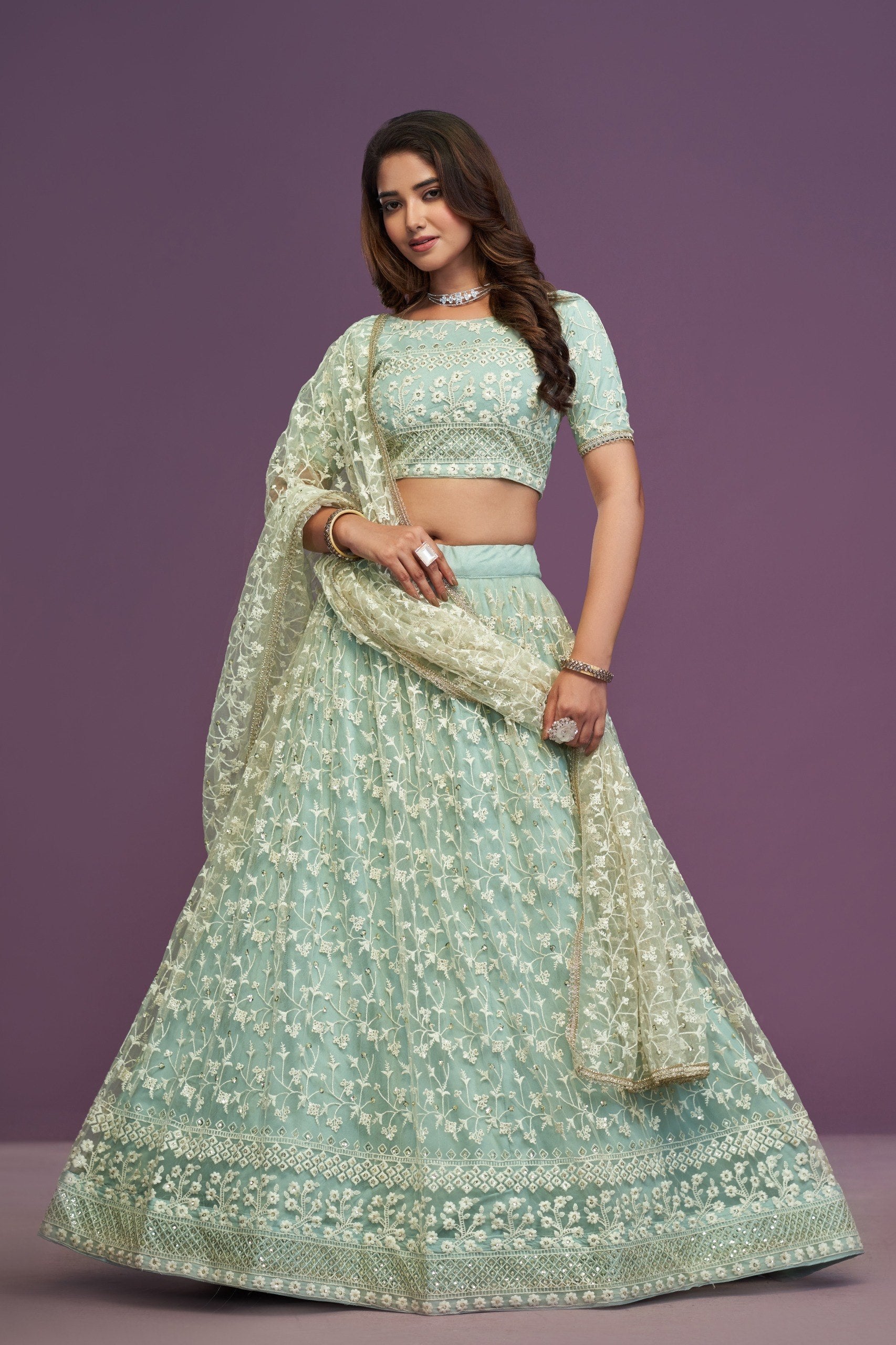 Pista Designer Net Lehenga Choli Set
