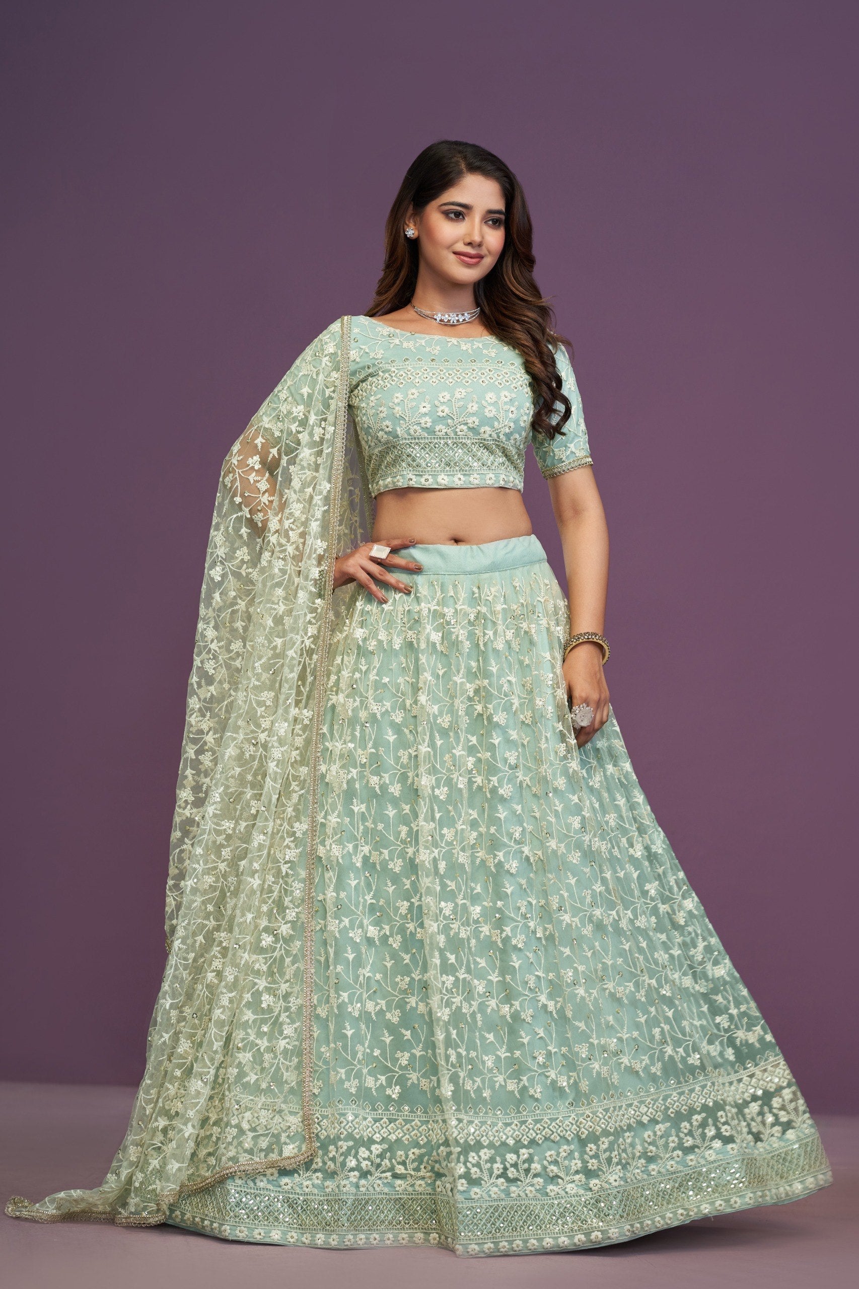 Pista Designer Net Lehenga Choli Set