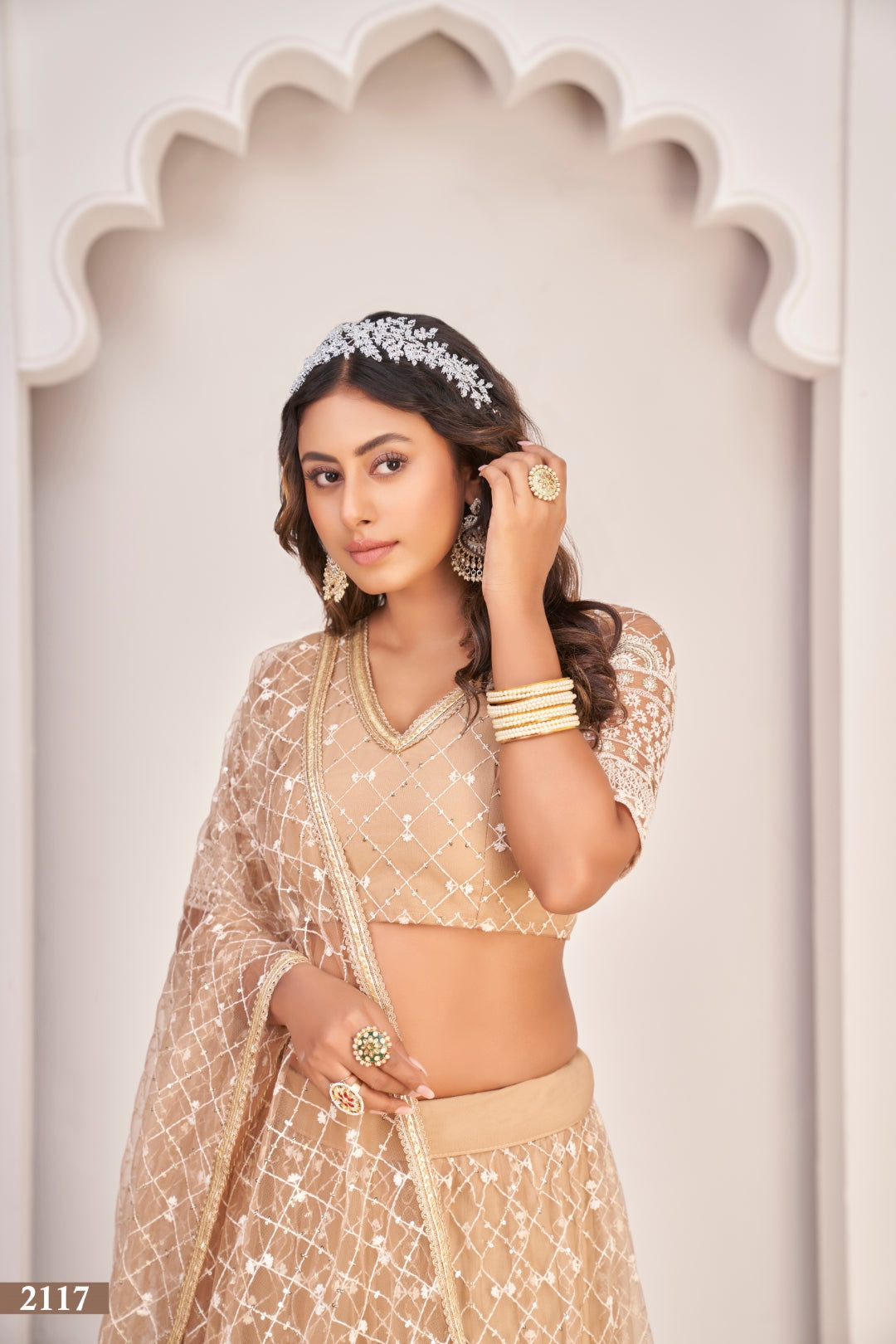 Dusty Chiqu Elegant Butterfly Net Lehenga Set
