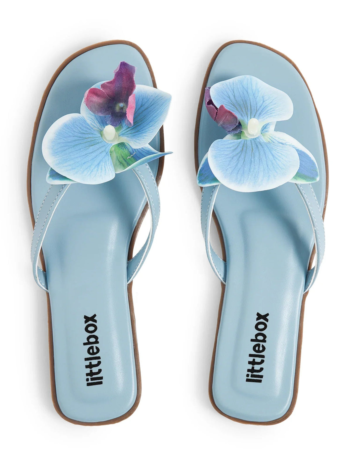 Blue Butterfly Orchid Decor Beach Flat