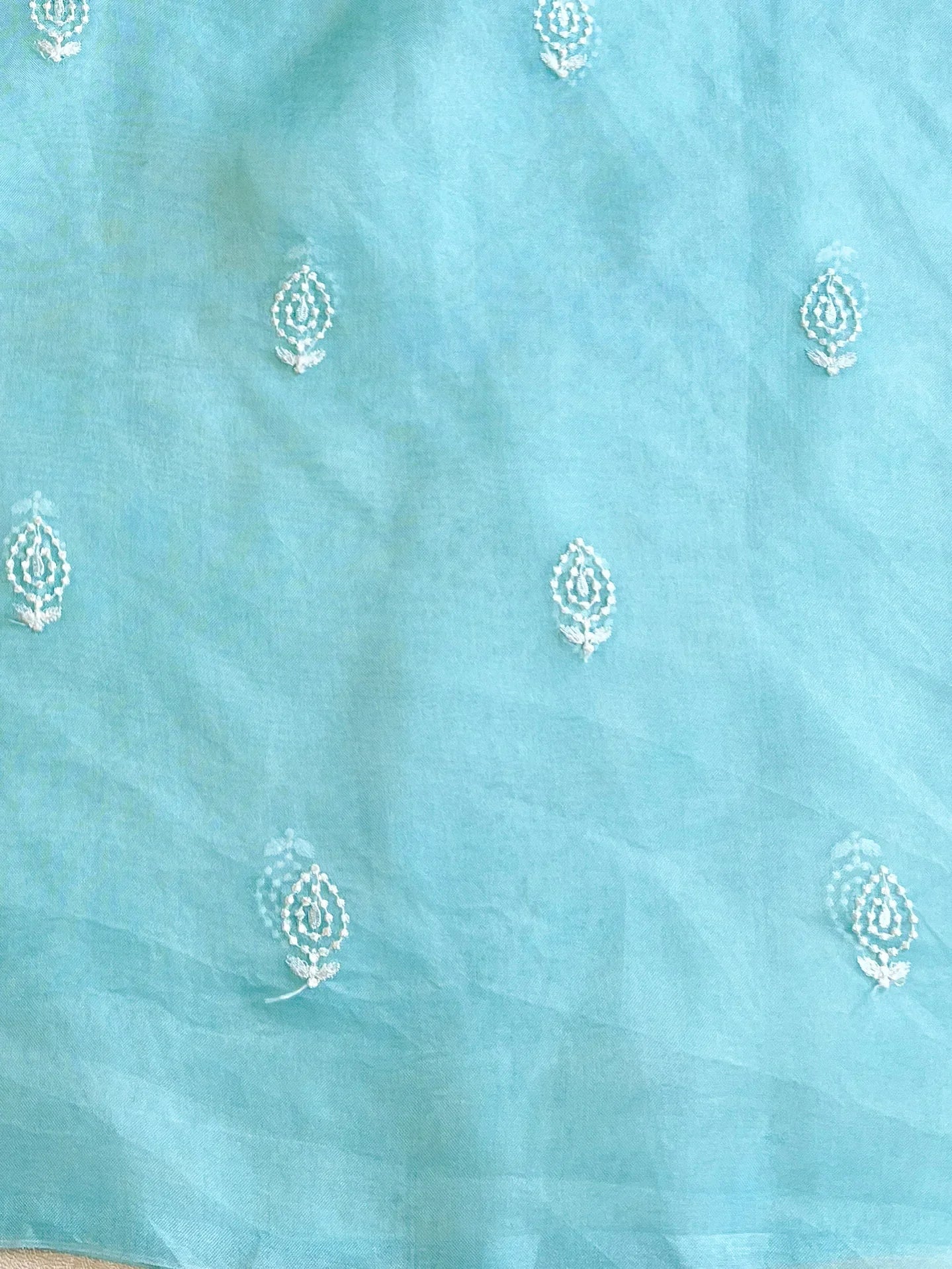 Light Blue Organza Silk Saree with Resham Floral Embroidery