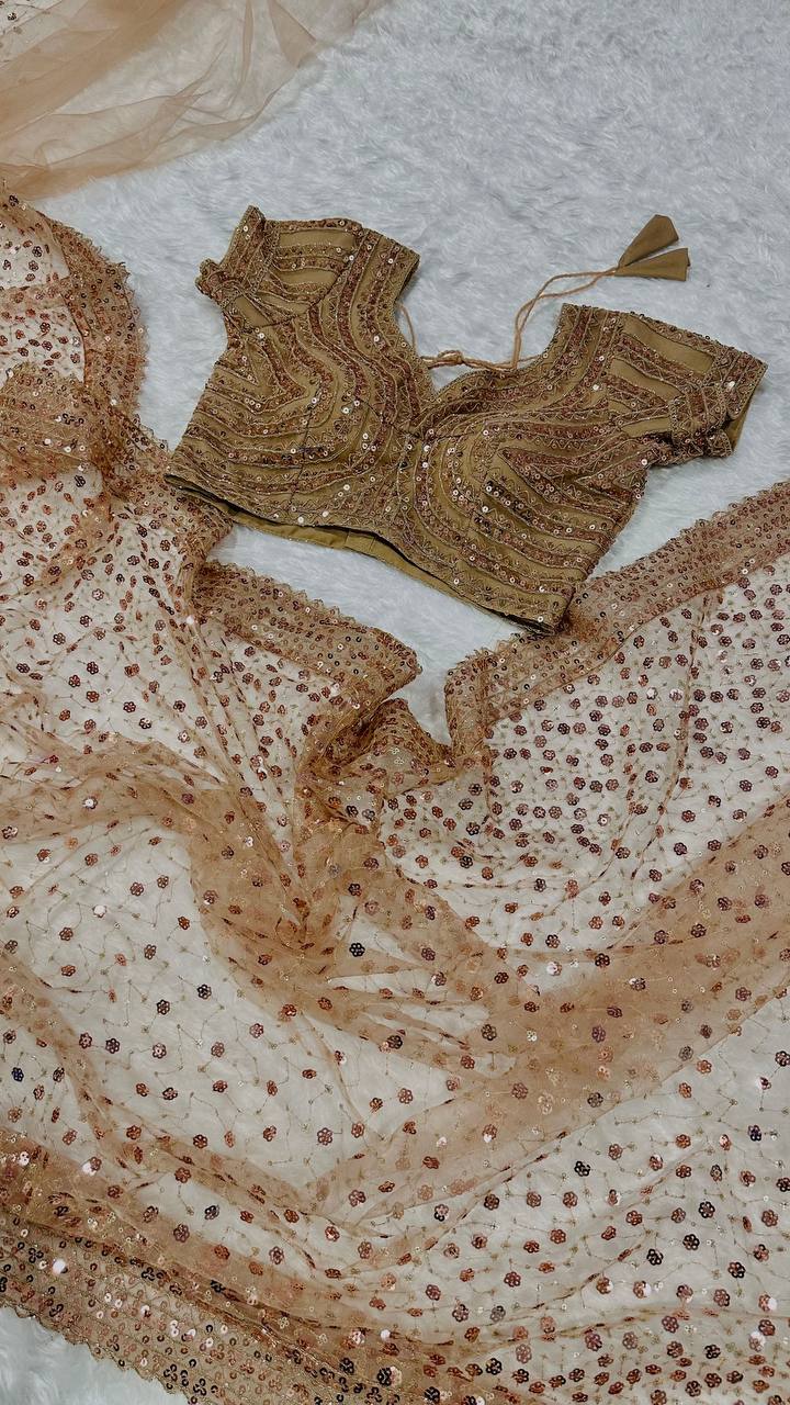 Light Brown Glitter Glamour and Everything in Between  Mesmerizing Net Saree Set