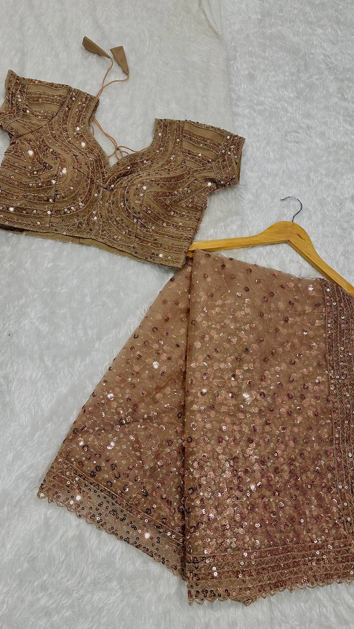 Light Brown Glitter Glamour and Everything in Between  Mesmerizing Net Saree Set