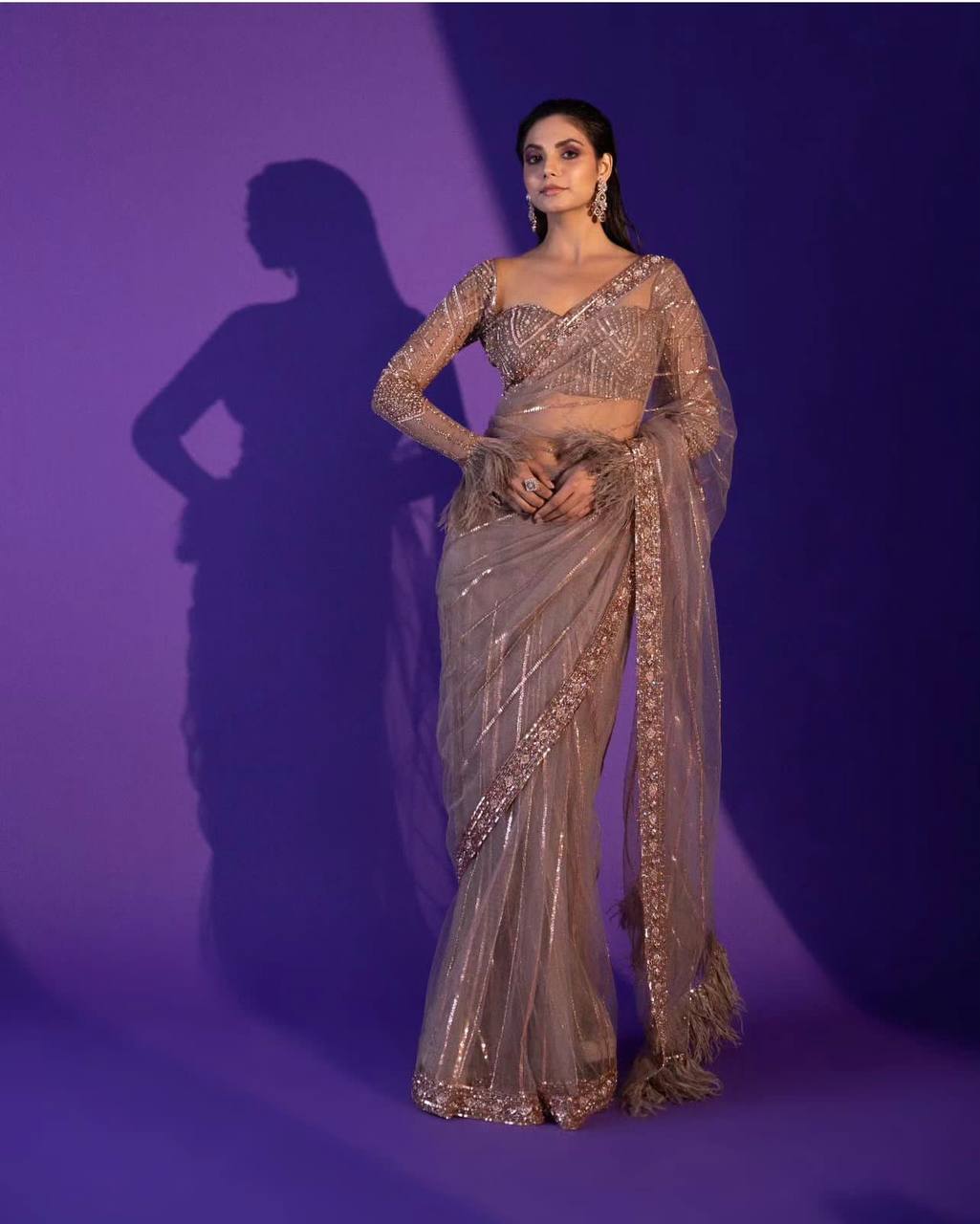 Light Brown Heart-Stealing Net Saree with Sequins, Dori & Zari Work