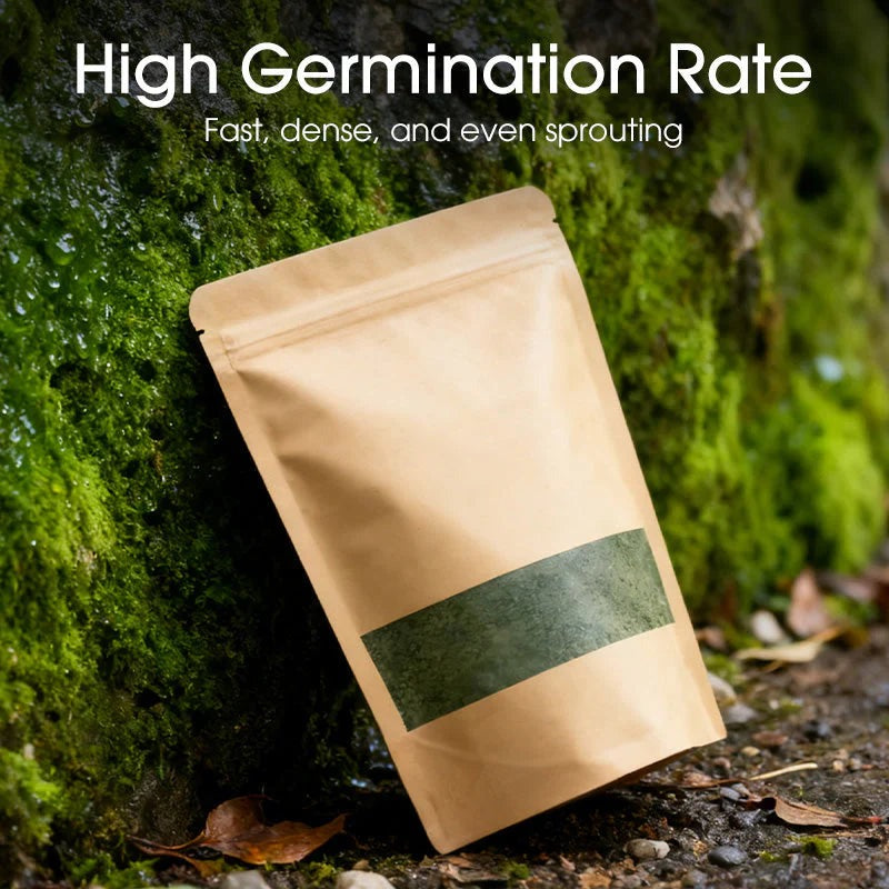 Premium-Grade Moss Spore Powder |🔥Free Plant Growth Supplement🔥
