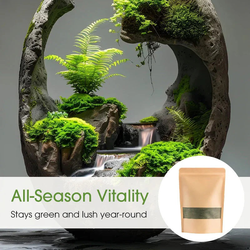 Premium-Grade Moss Spore Powder |🔥Free Plant Growth Supplement🔥