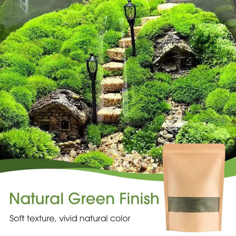 Premium-Grade Moss Spore Powder |🔥Free Plant Growth Supplement🔥