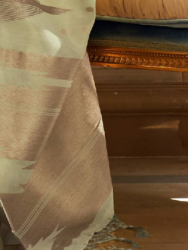 Pista Embroidered Banarasi Tissue Saree with Tassels