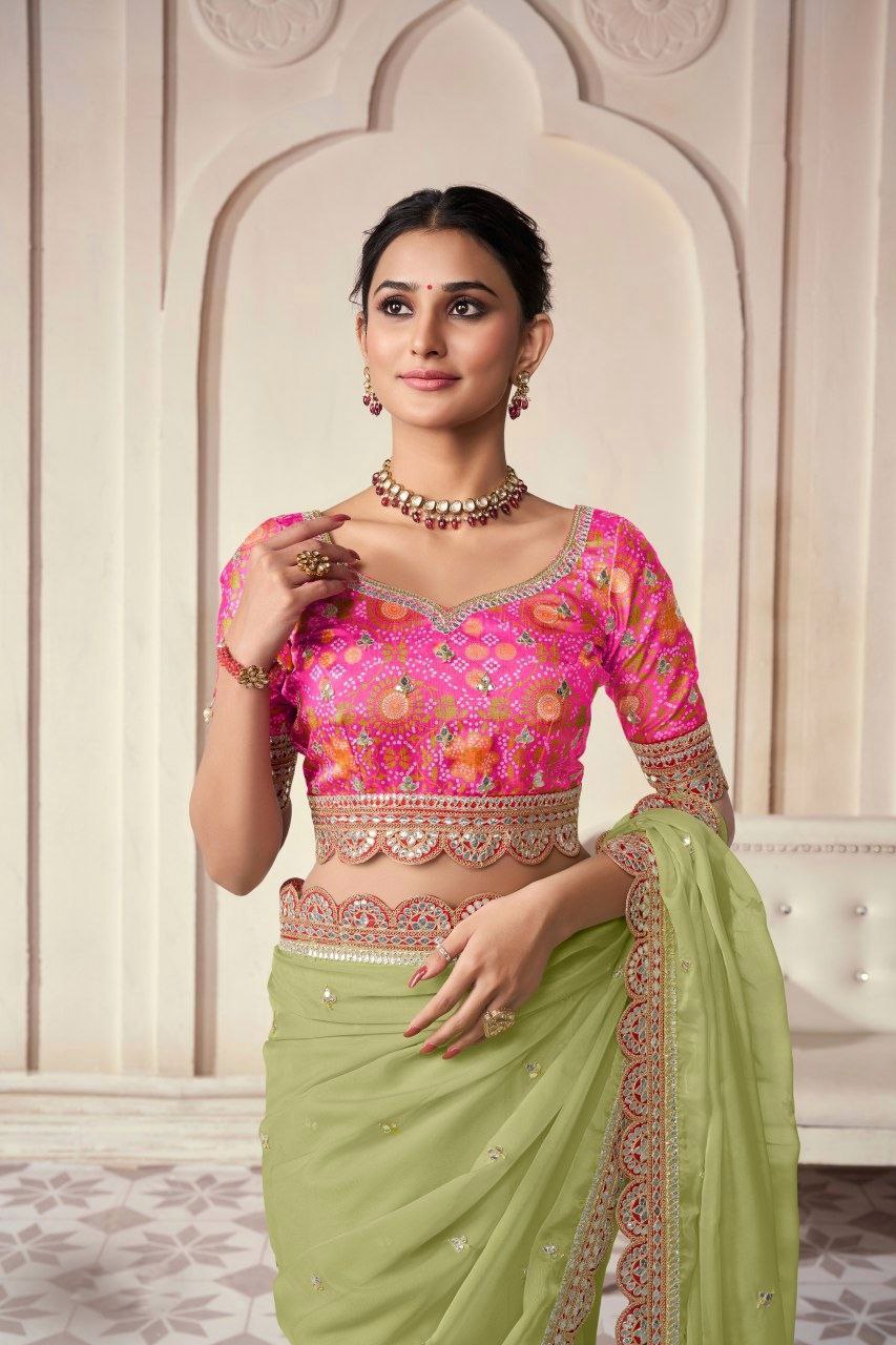 Pista Organza Cording Foil Embroidered Saree with Silk Digital Blouse